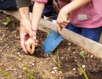 Asprodes Plena inclusión recibe el 2º Premio Nacional de Huertos Educativos Ecológicos, en la categoría Agricultura Social